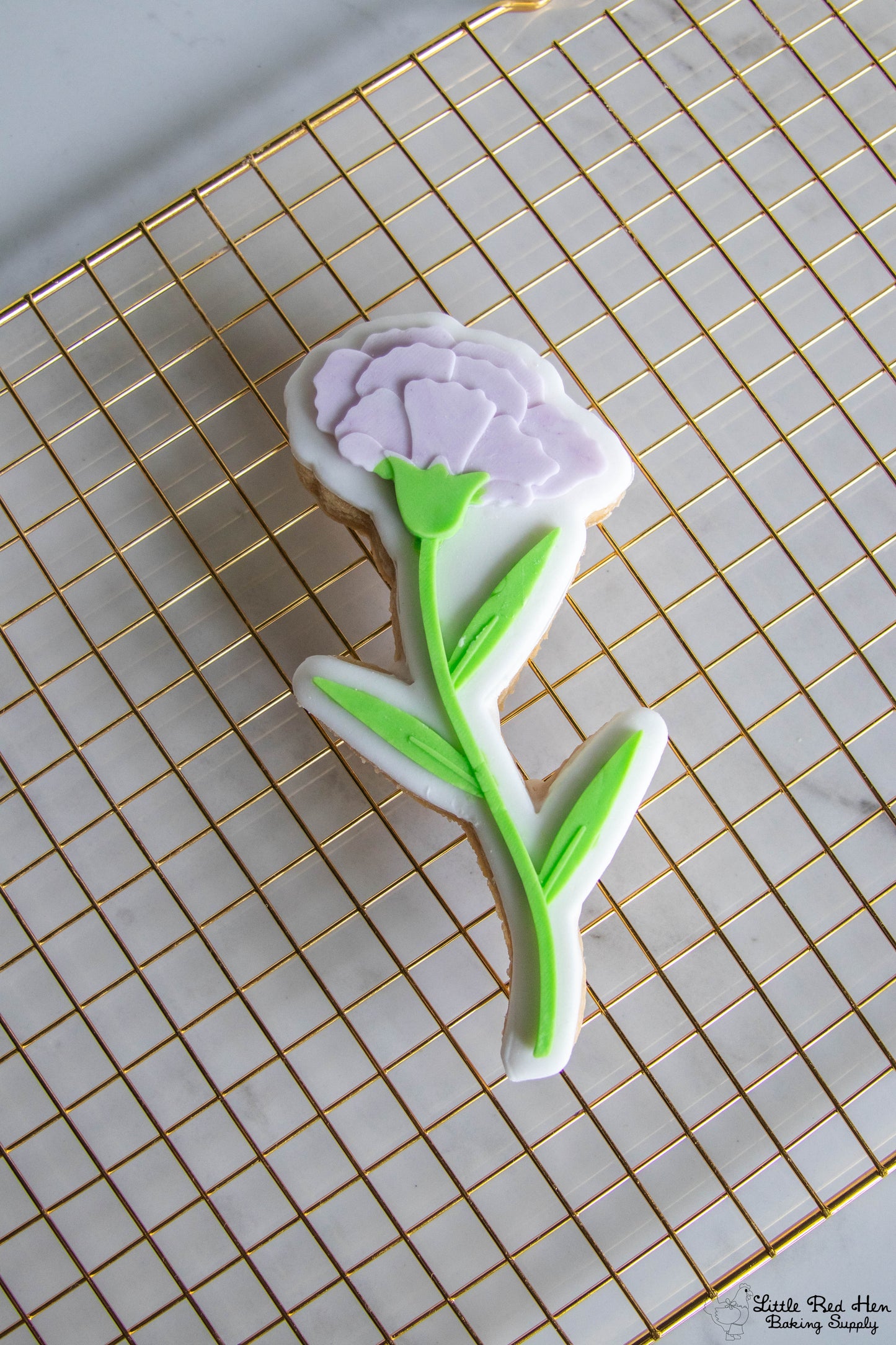 Carnation Flower Fondant and Buttercream Stamp Set -- January Birth Flower