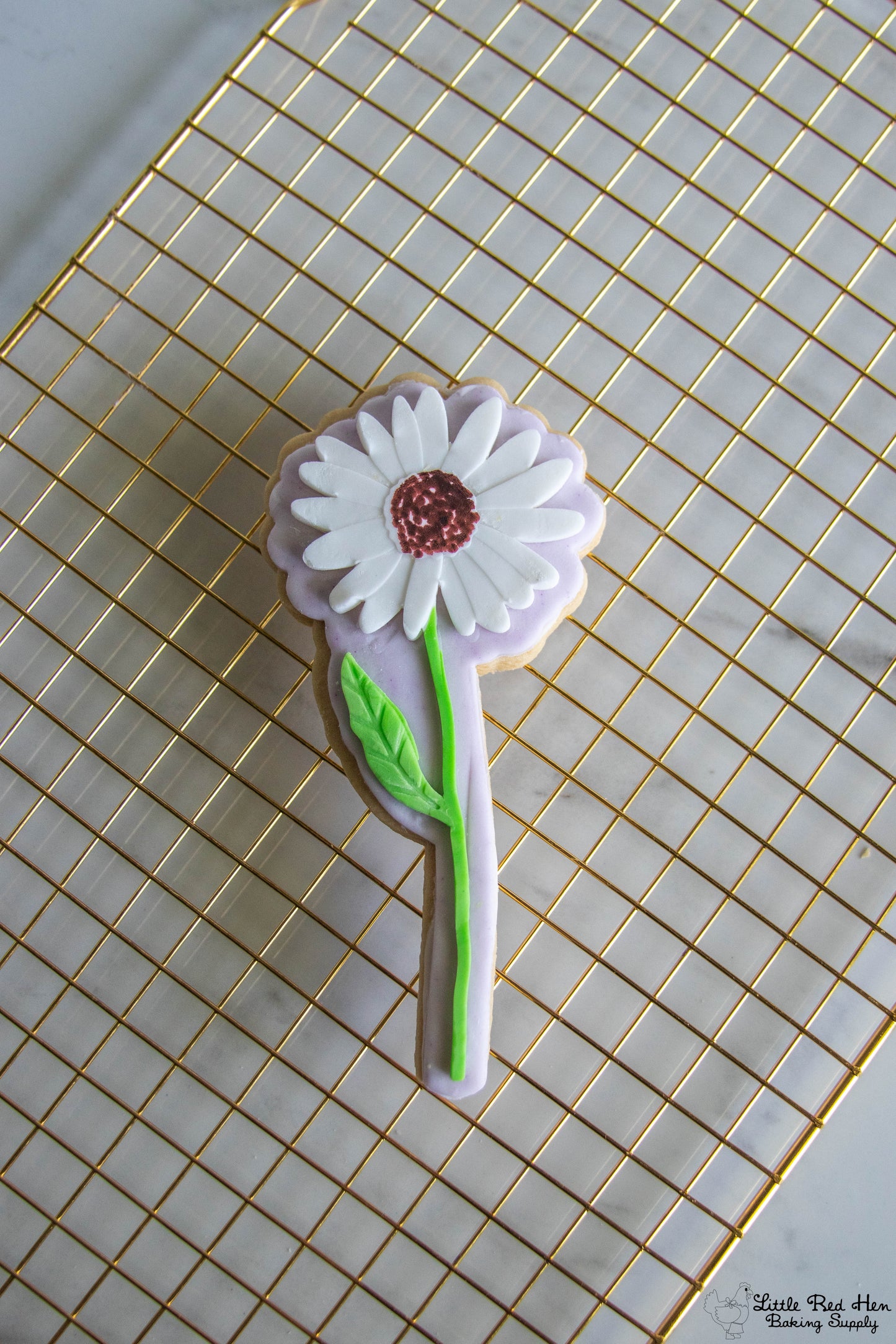 Daisy Flower Fondant Stamp and Cutter Set -- April Birth Flower