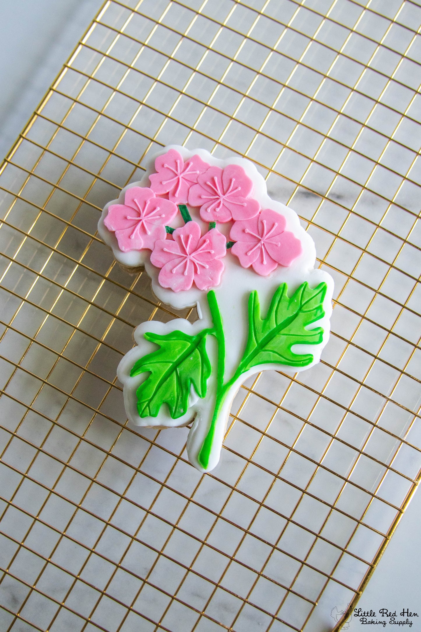 Hawthorn Flower Fondant Stamp and Cutter Set -- May Birth Flower
