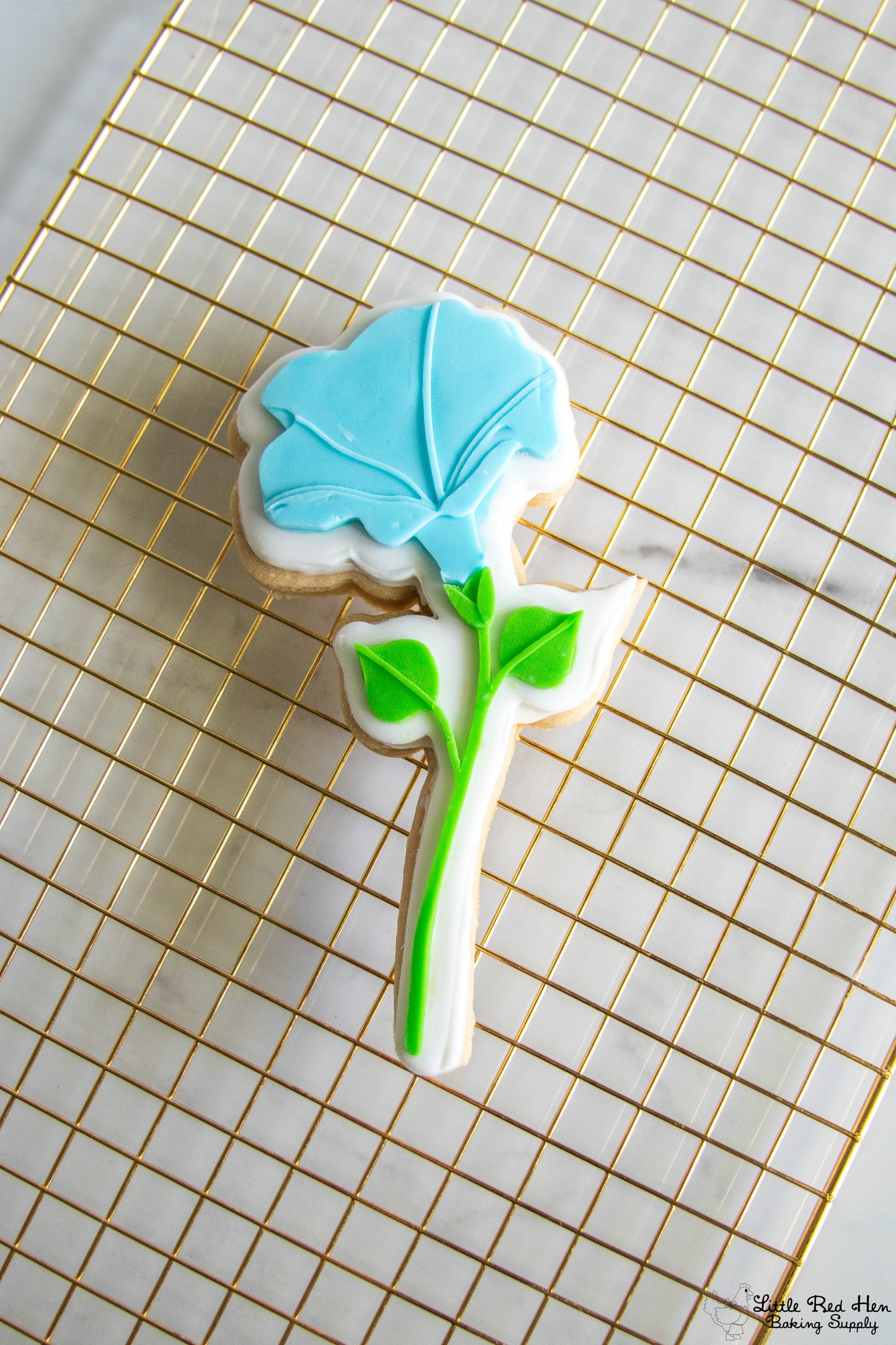 Morning Glory Flower Fondant Stamp and Cutter Set -- September Birth Flower