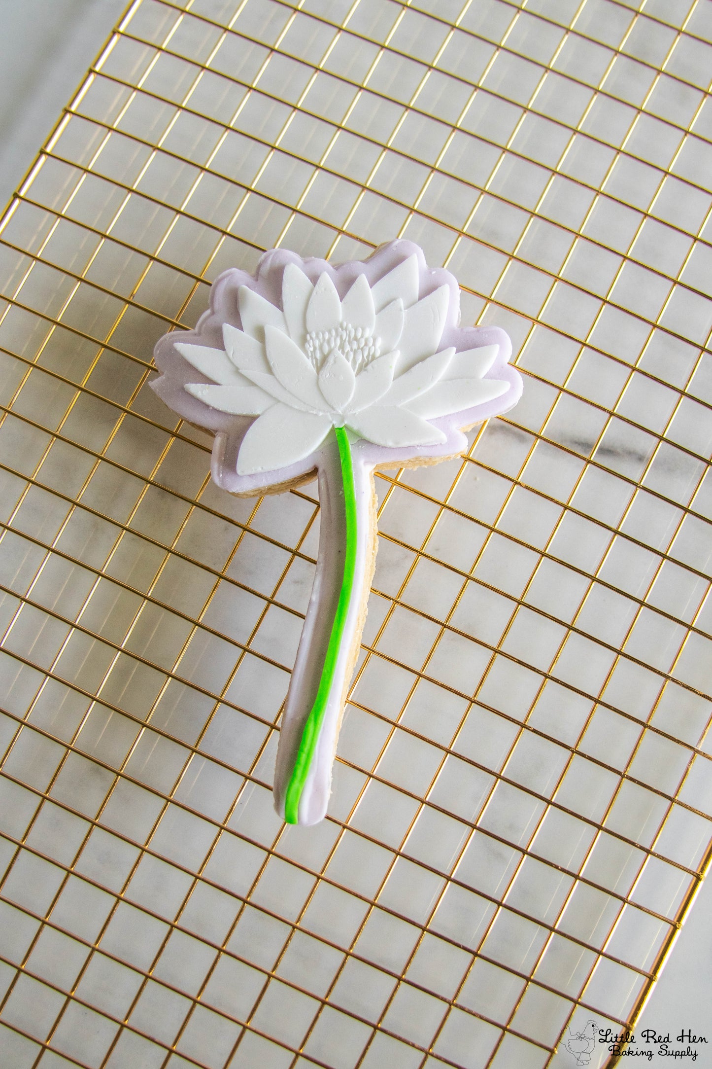 Water Lily Flower Fondant Stamp and Cutter Set -- July Birth Flower