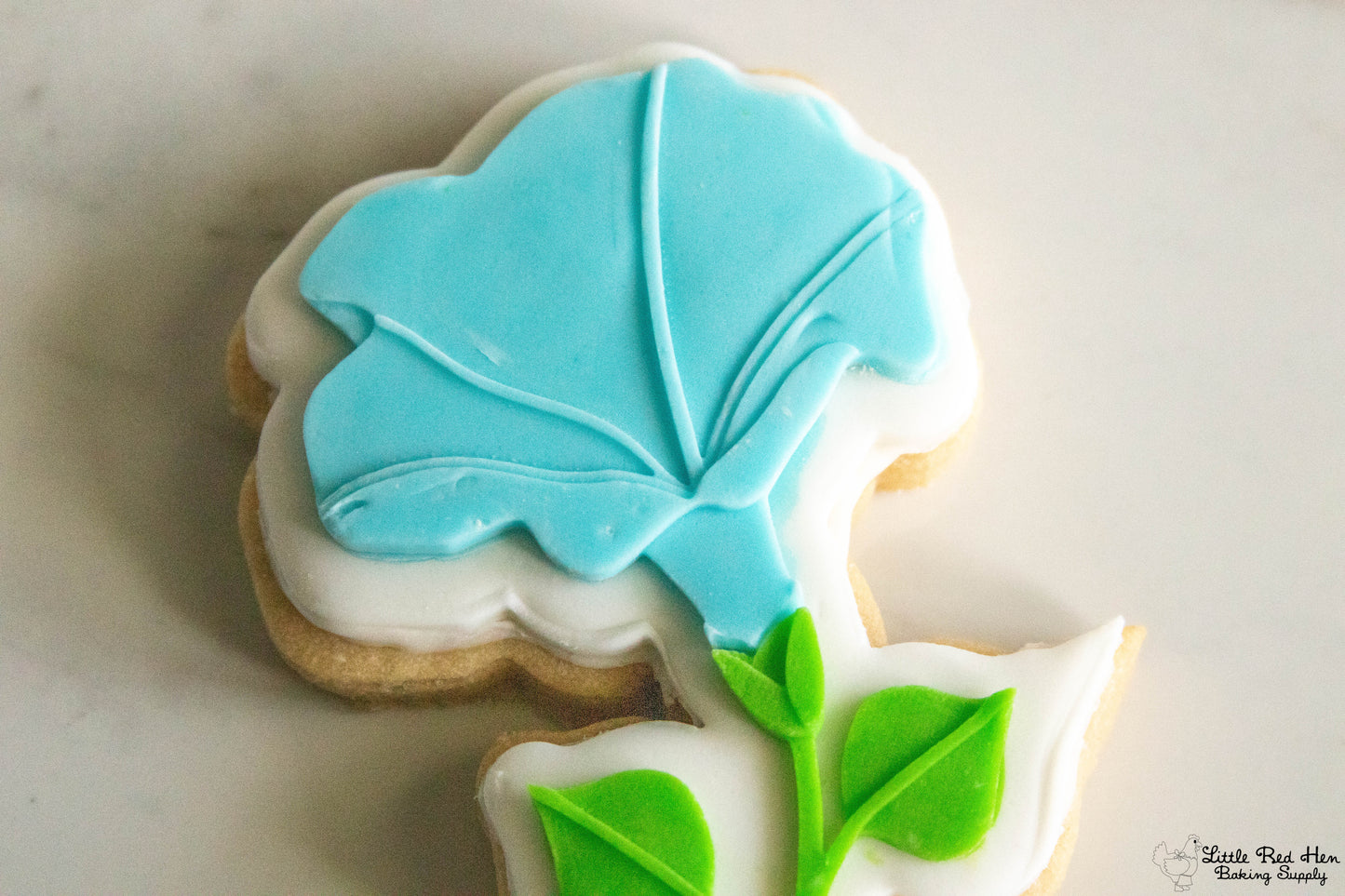 Morning Glory Flower Fondant Stamp and Cutter Set -- September Birth Flower