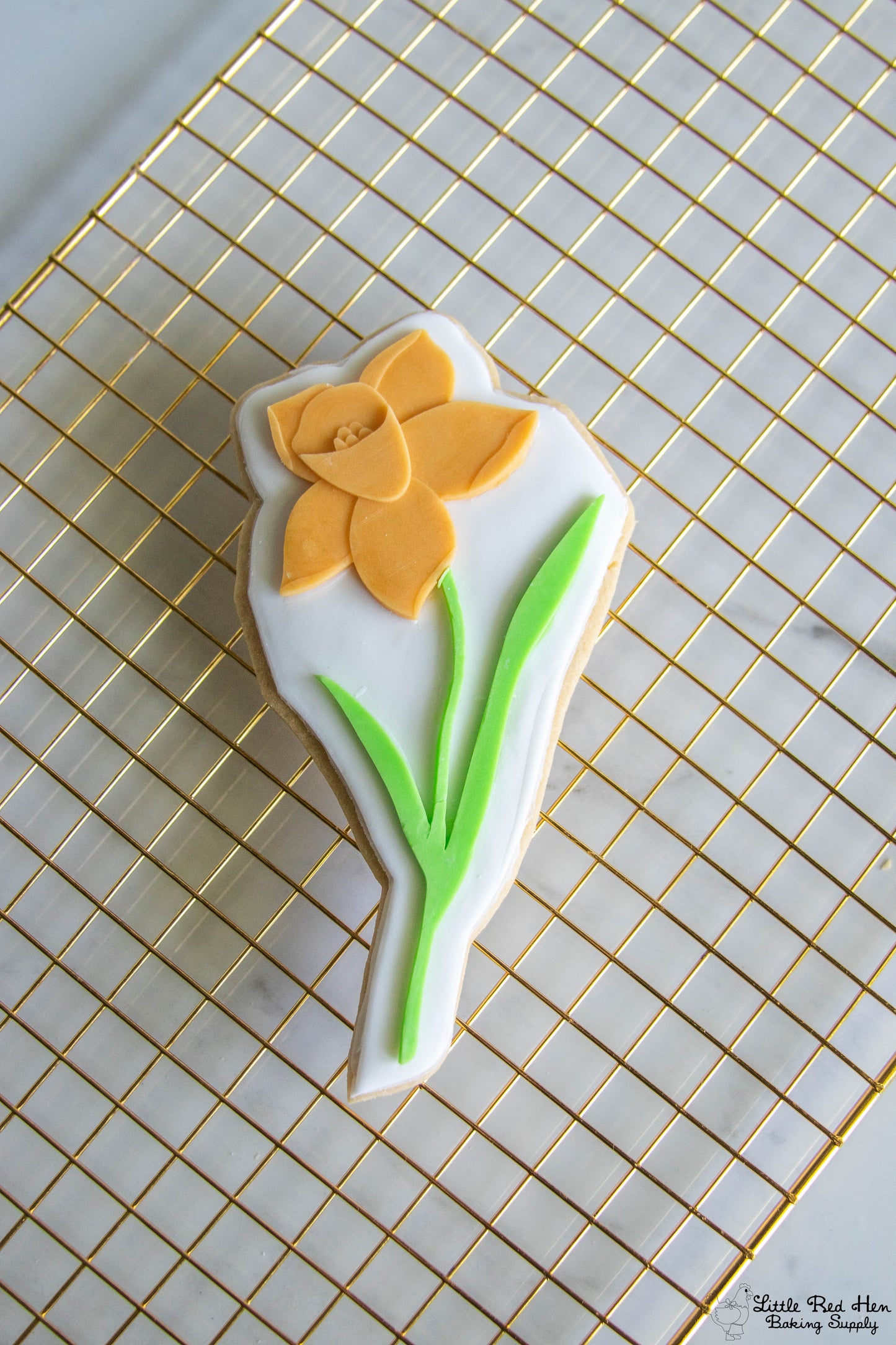 Daffodil Flower Fondant Stamp and Cutter Set -- March Birth Flower