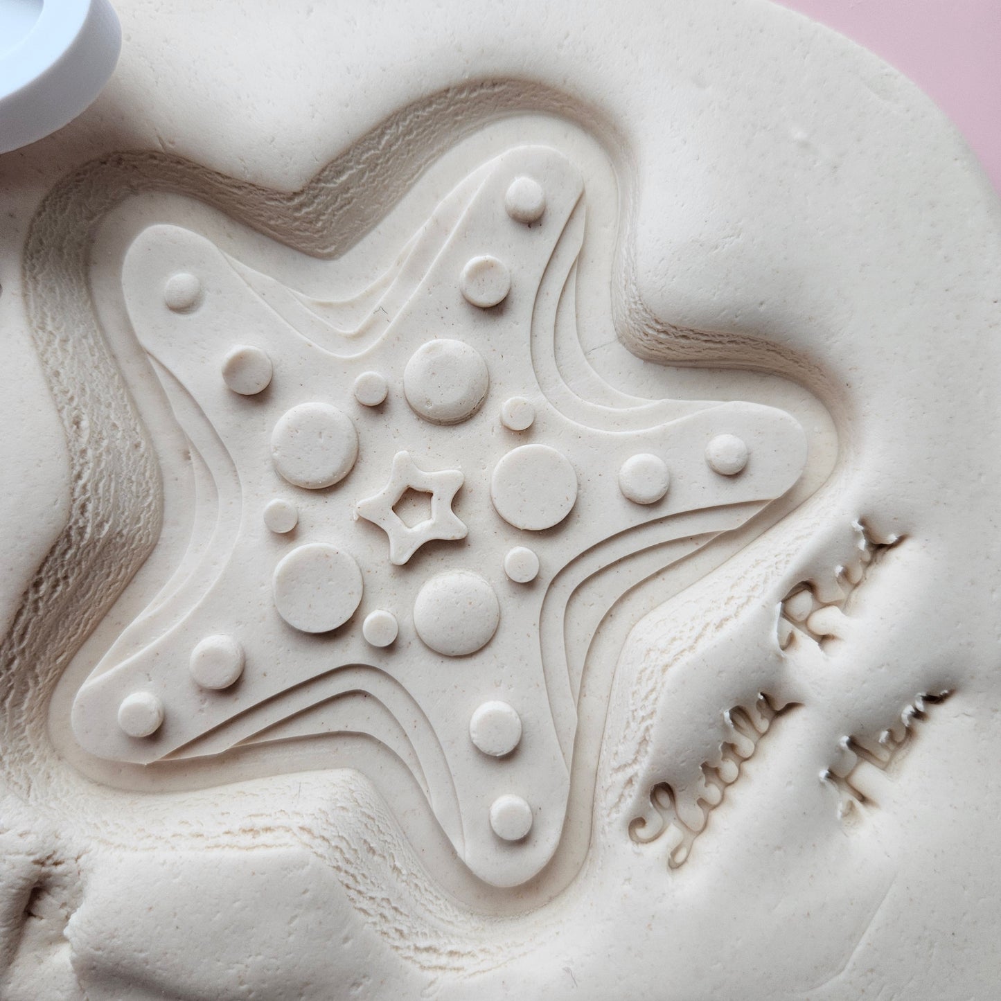 Decorative Starfish Fondant and Buttercream Stamp and Cutter Set