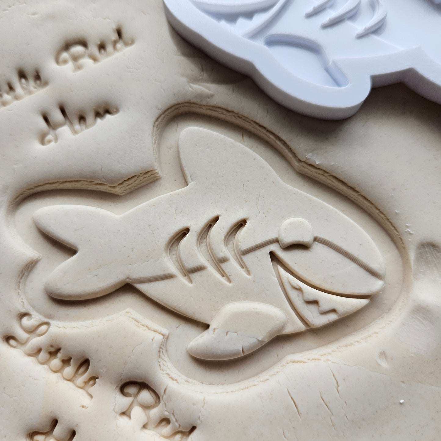 Shark Fondant and Buttercream Stamp and Cutter Set