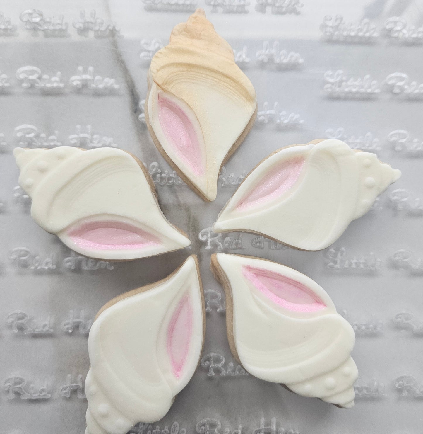 Conch Shell Fondant and Buttercream Stamp and Cutter Set