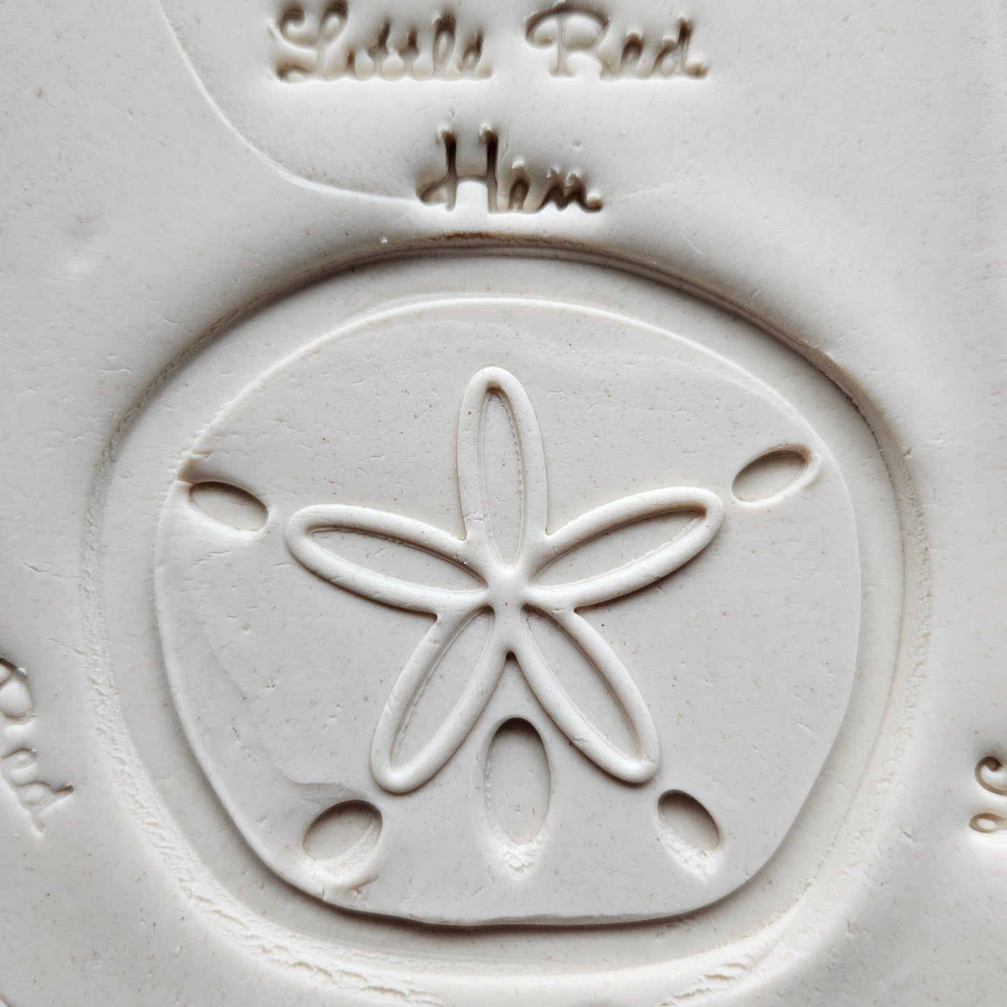 Sand Dollar Fondant and Buttercream Stamp and Cutter Set