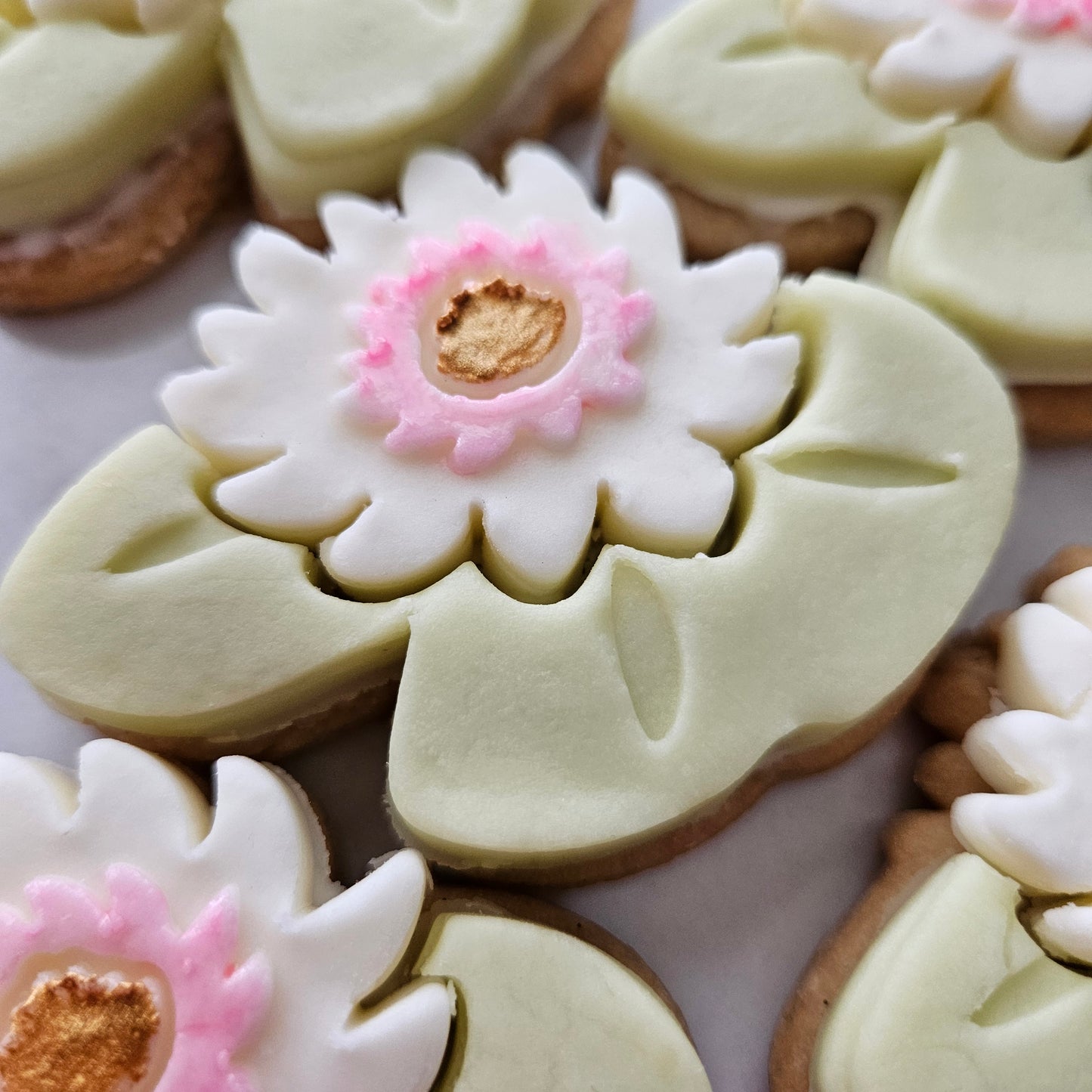 Water Lily  Blossom Bloom Buttercream Fondant Stamp and Cookie Cutter Set