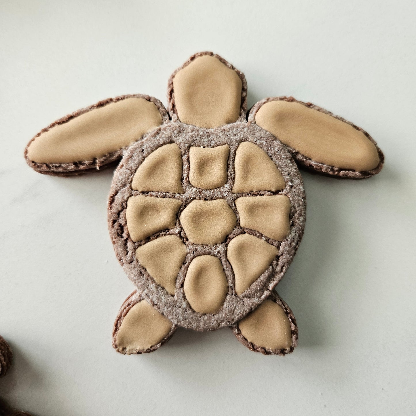 Sea Turtle DOUGH STAMP // READY TO FLOOD Stamp and Cookie Cutter Set