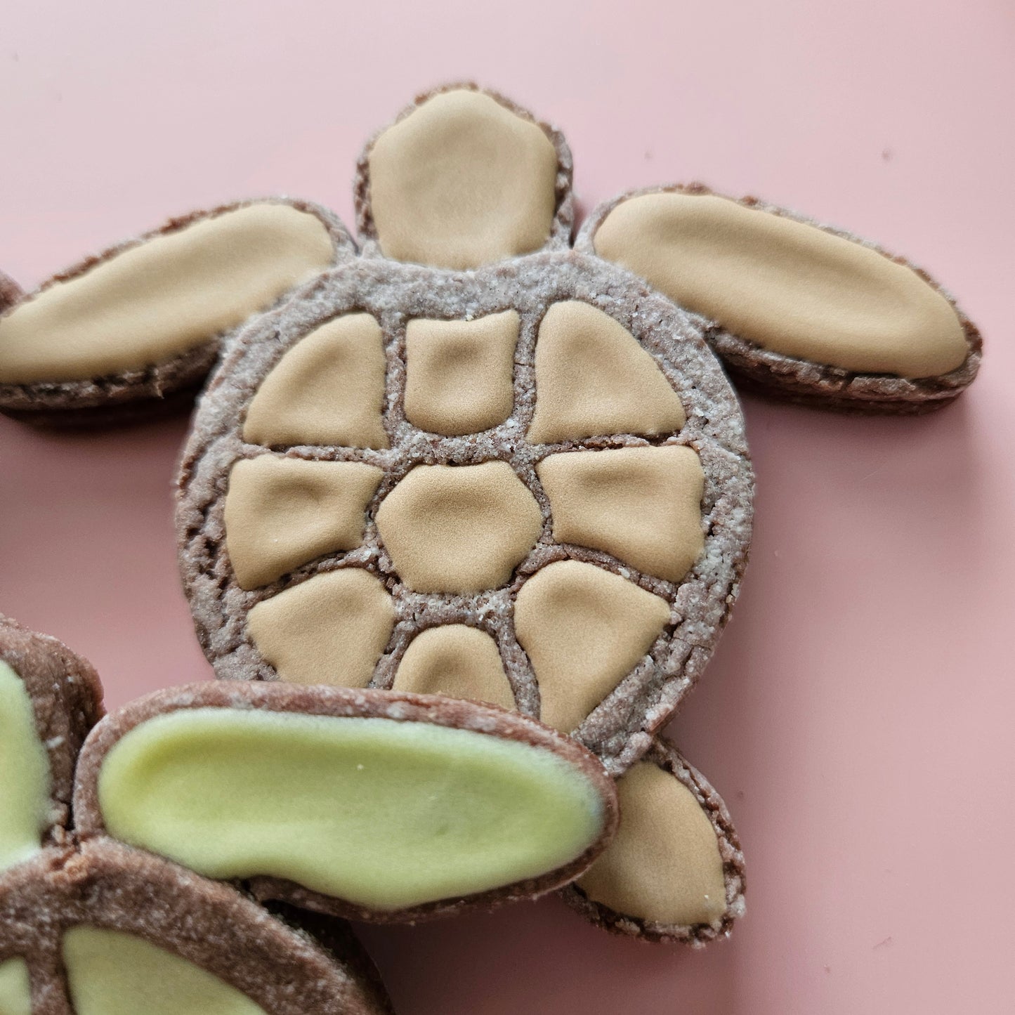 Sea Turtle DOUGH STAMP // READY TO FLOOD Stamp and Cookie Cutter Set