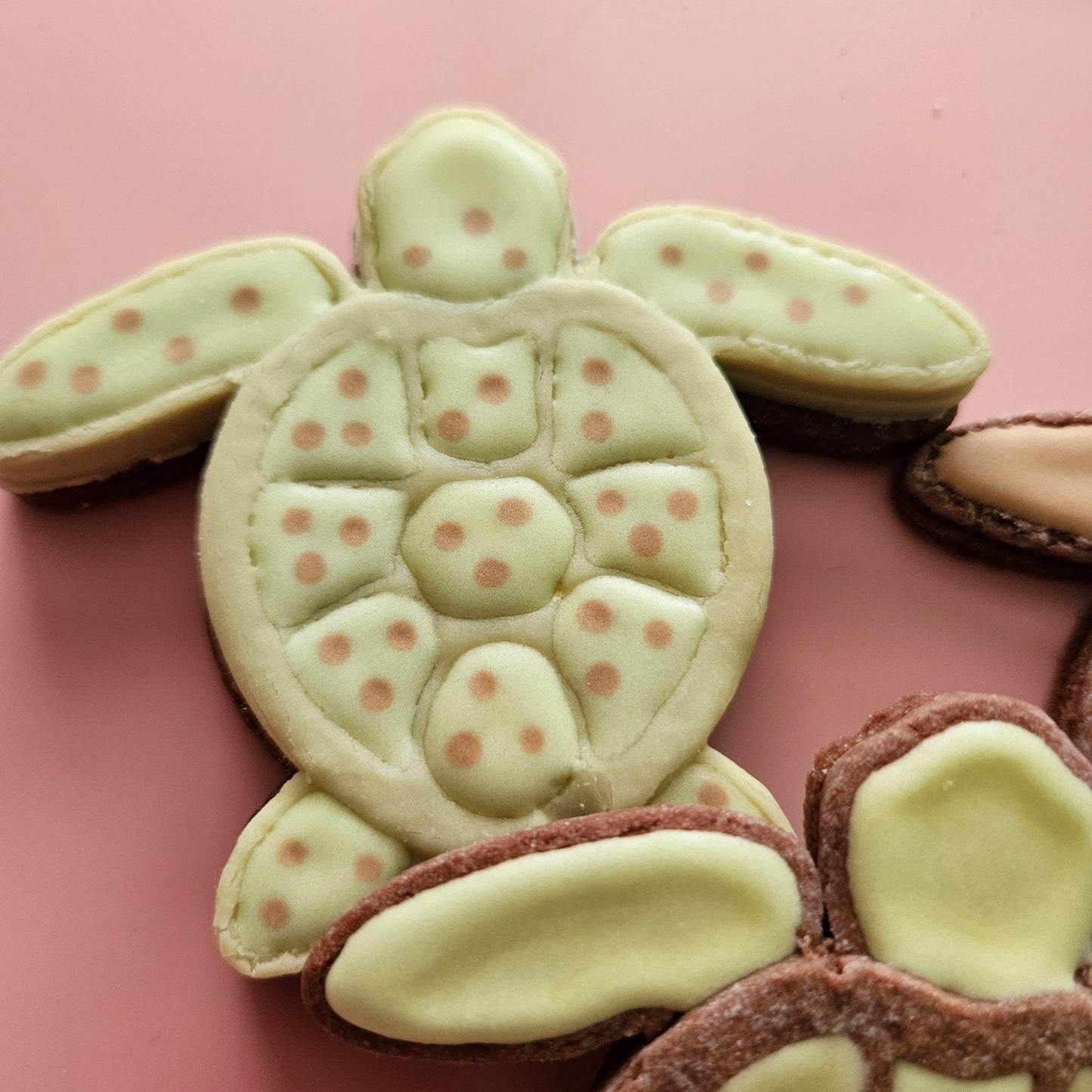 Sea Turtle DOUGH STAMP // READY TO FLOOD Stamp and Cookie Cutter Set