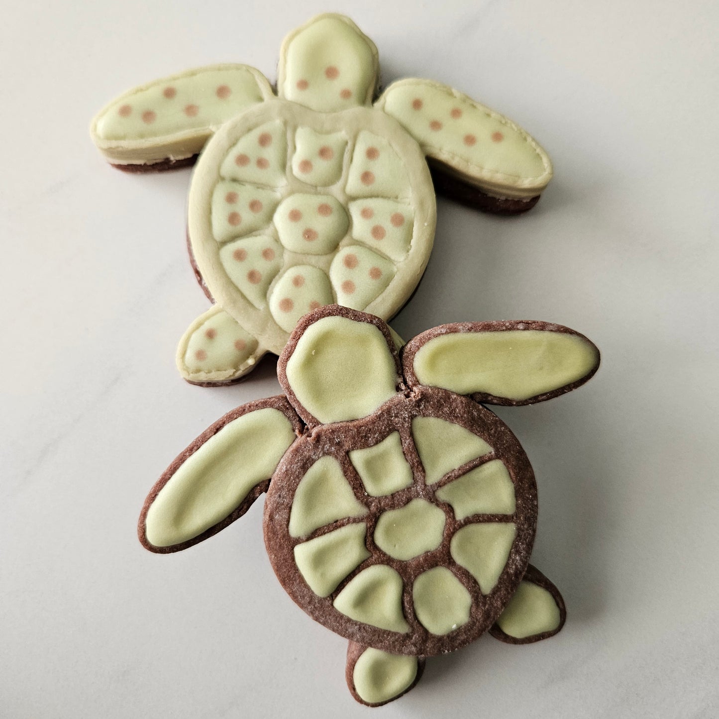 Sea Turtle DOUGH STAMP // READY TO FLOOD Stamp and Cookie Cutter Set