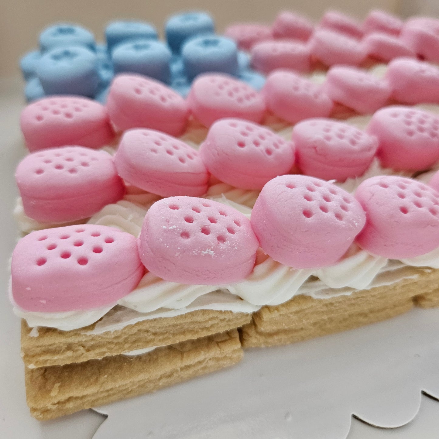 Berry Cake Buttercream Stamp and Cookie Cutter Set for Mega Cookie or Cookie Cake