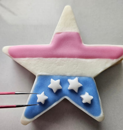 Americana Star with Stripes READY TO FLOOD Buttercream Fondant Stamp and Cookie Cutter Set