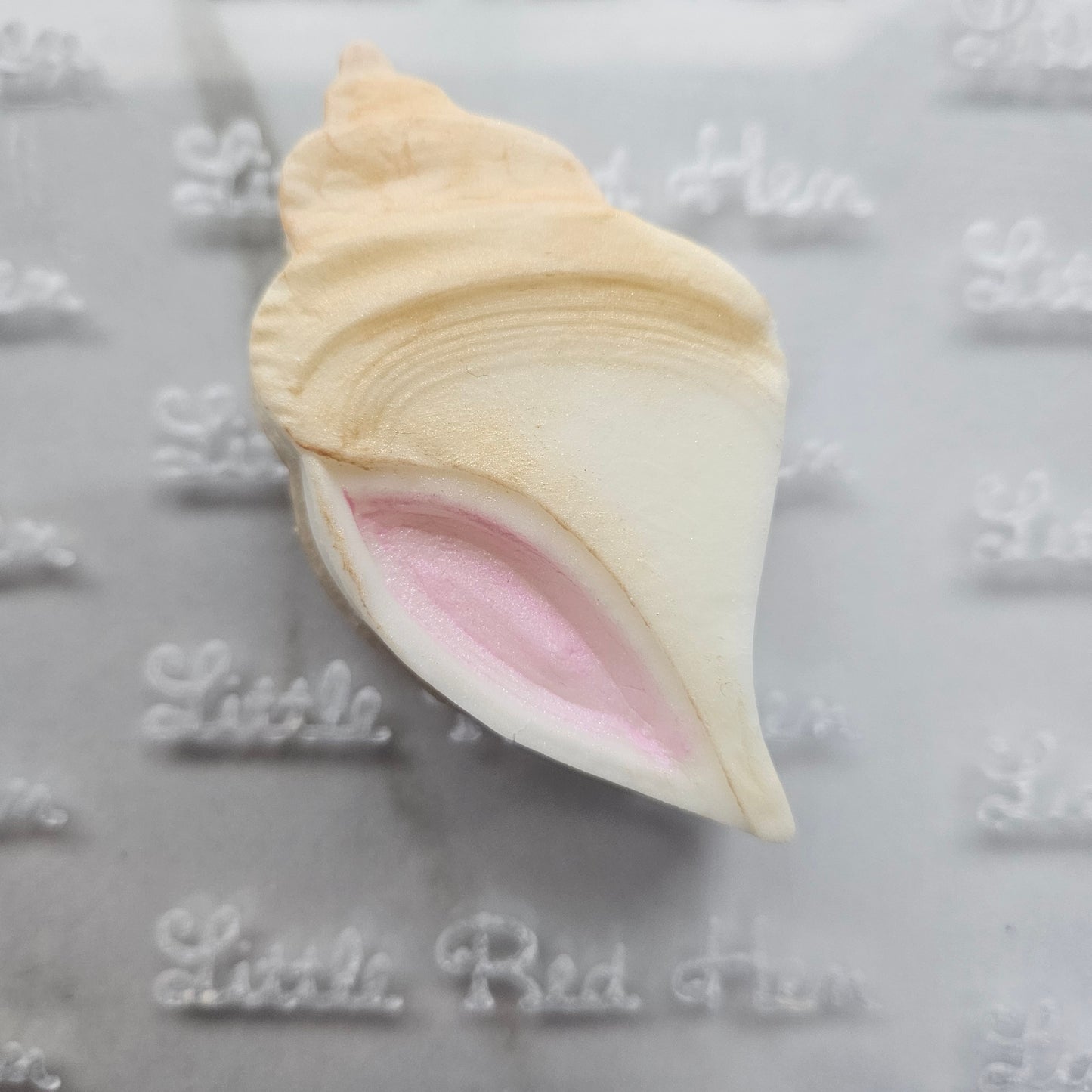 Conch Shell Fondant and Buttercream Stamp and Cutter Set