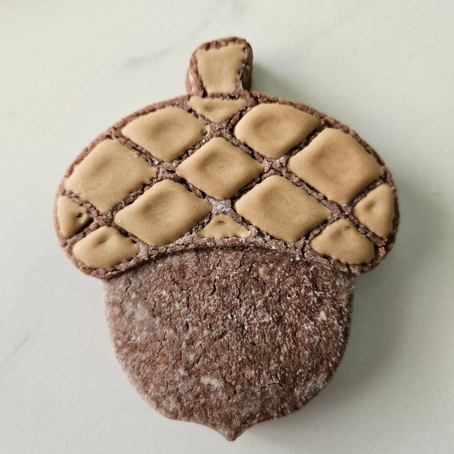 Acorn DOUGH STAMP // READY TO FLOOD Stamp and Cookie Cutter Set