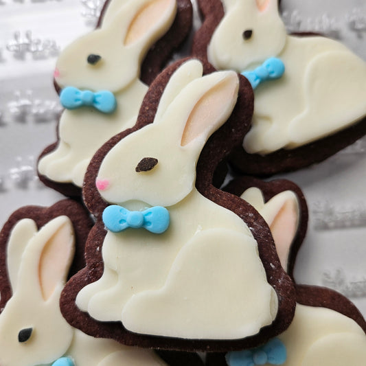 Easter Bunny Fondant and Buttercream Stamp and Cutter Set