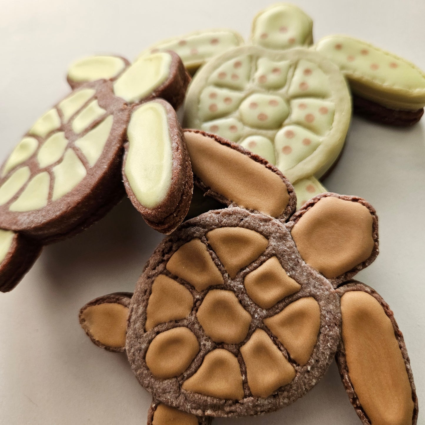 Sea Turtle DOUGH STAMP // READY TO FLOOD Stamp and Cookie Cutter Set