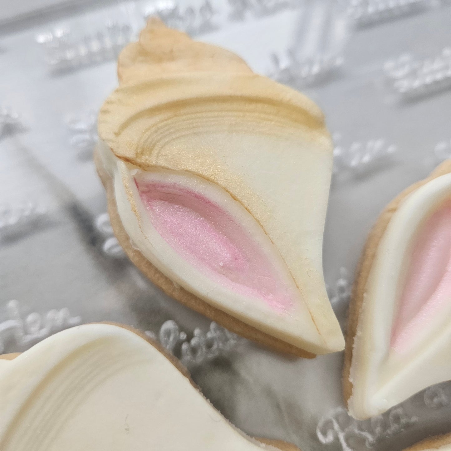 Conch Shell Fondant and Buttercream Stamp and Cutter Set