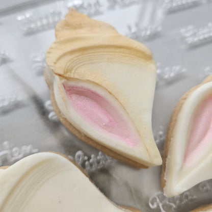 Conch Shell Fondant and Buttercream Stamp and Cutter Set