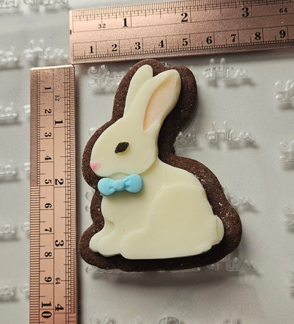 Easter Bunny Fondant and Buttercream Stamp and Cutter Set