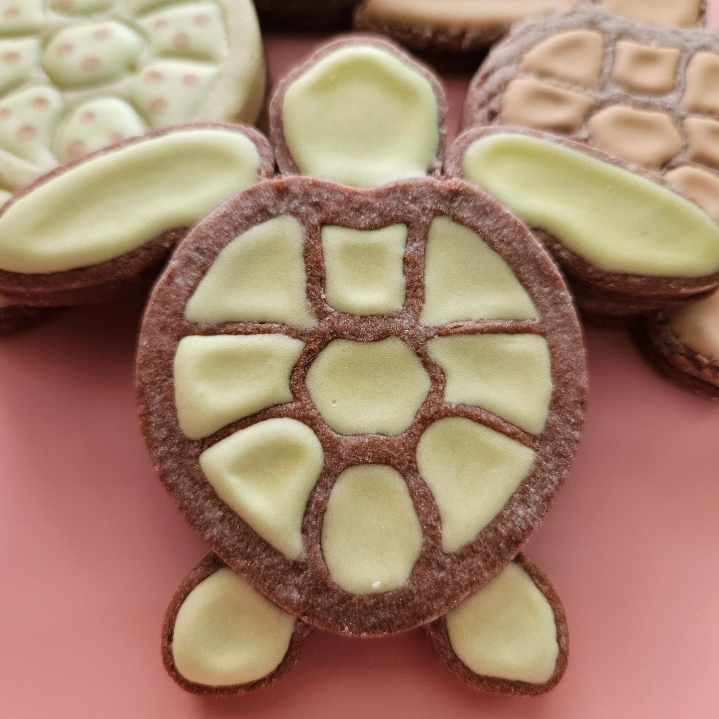 Sea Turtle DOUGH STAMP // READY TO FLOOD Stamp and Cookie Cutter Set